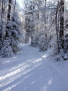 trail Lake Placid Cross Country Ski