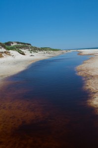 3688431450_040f0afba9_z