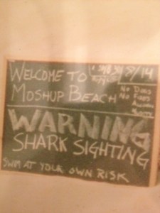 Moshup Beach Welcome Moshup Beach Aquinnah Gays Head