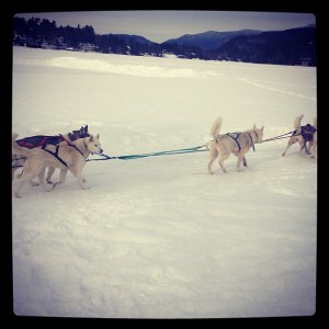 Lake Placid, dogsled