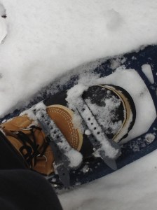 Snow Shoe, Lake Placid