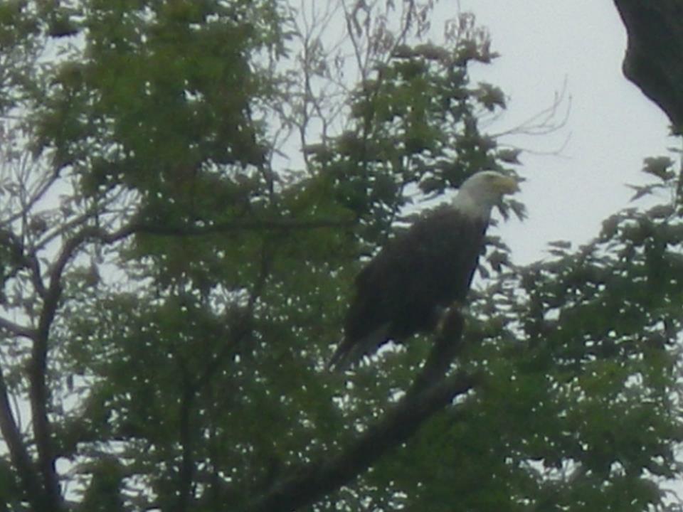 Kayaking the Delaware