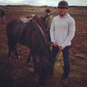 Icelandic horse