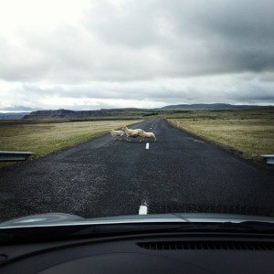 Iceland Ring Road
