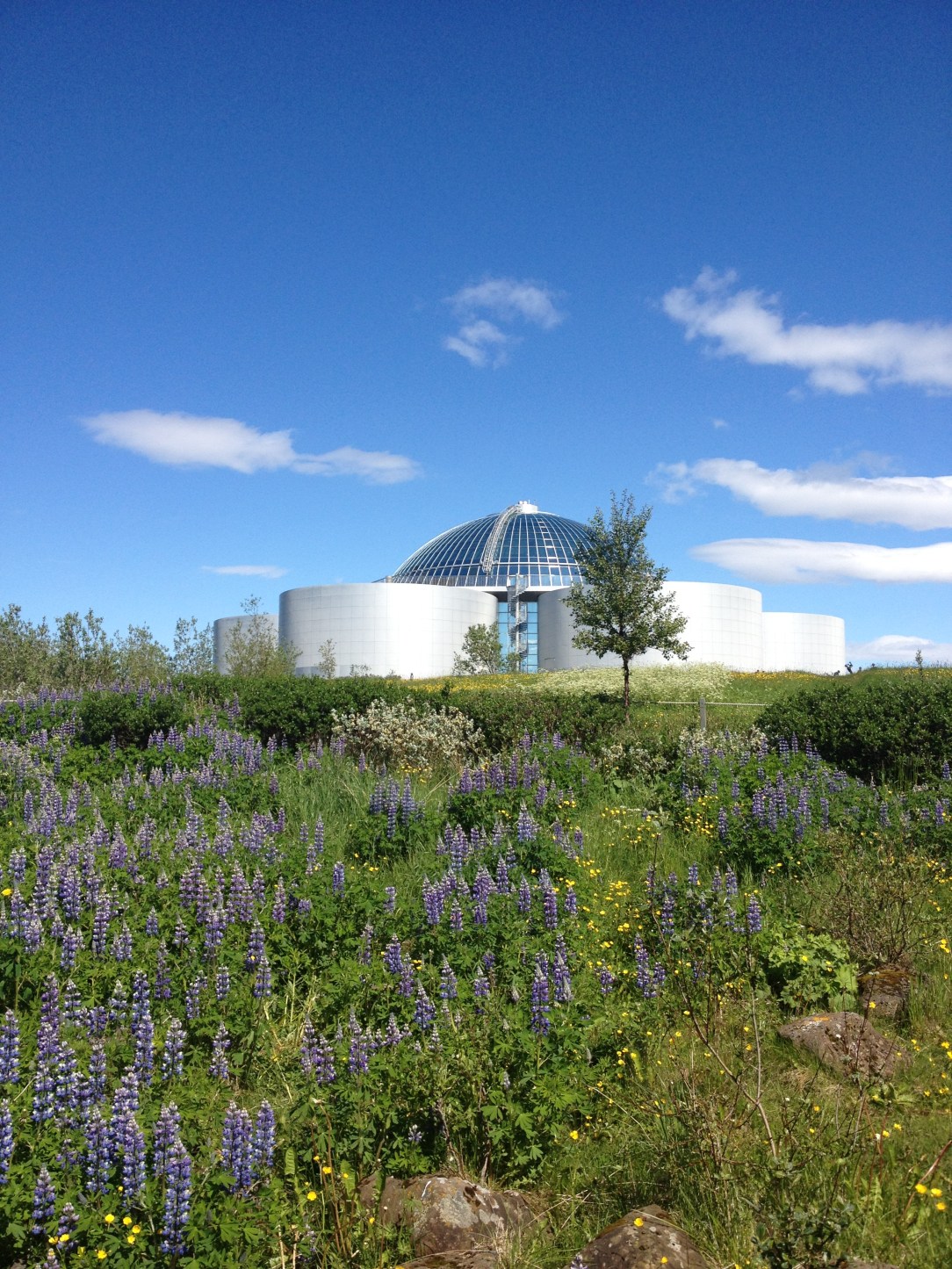 The Perlan Reykjavik