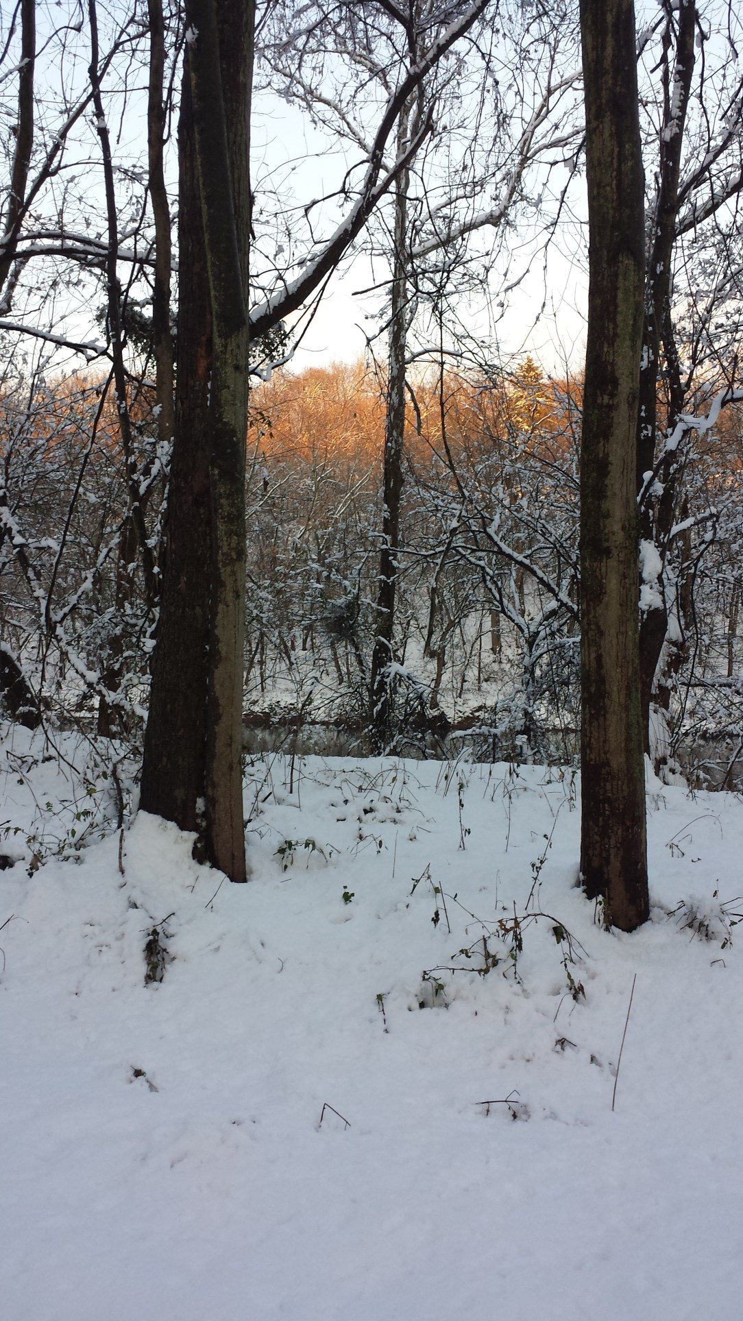 It's beginning to look a lot like Christmas and I finally found some decent XC ski trails here in Lancaster. 