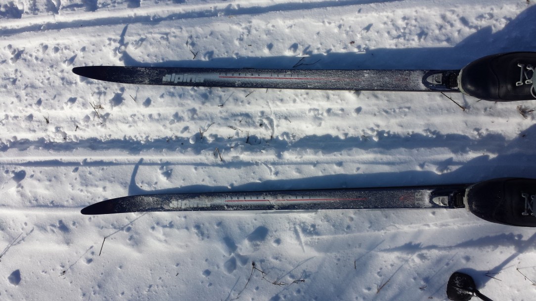 About to start an early morning ski.