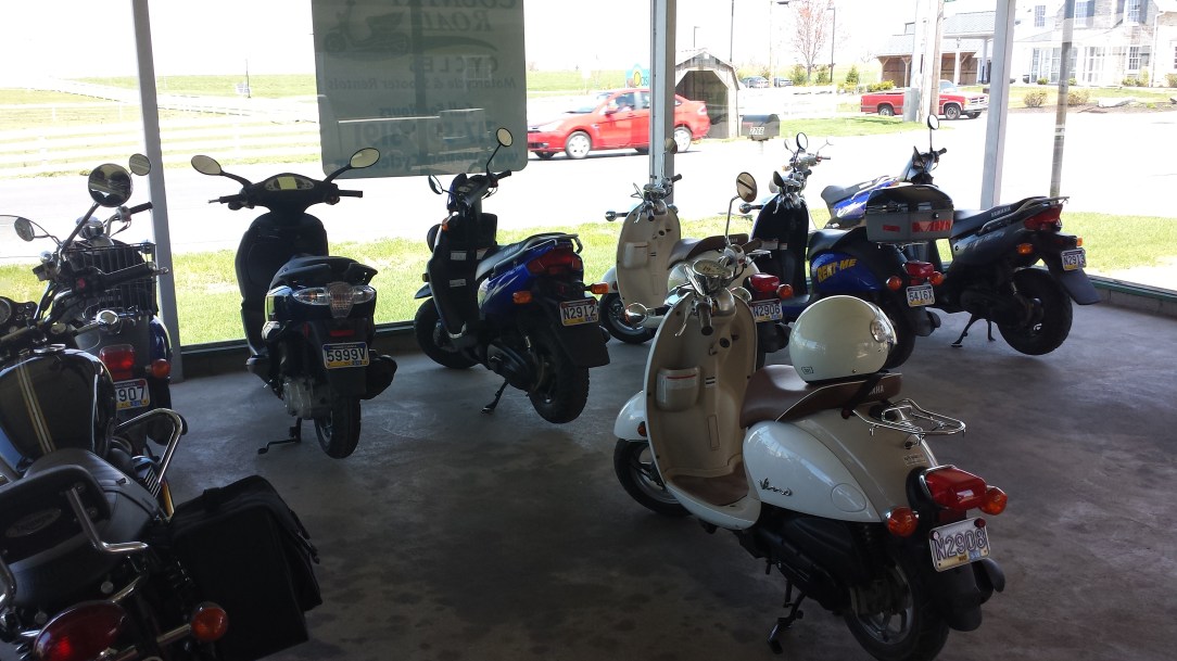 You could rent scooters and motorcycles, which would be fun if they didn't scare me. Don't judge. 