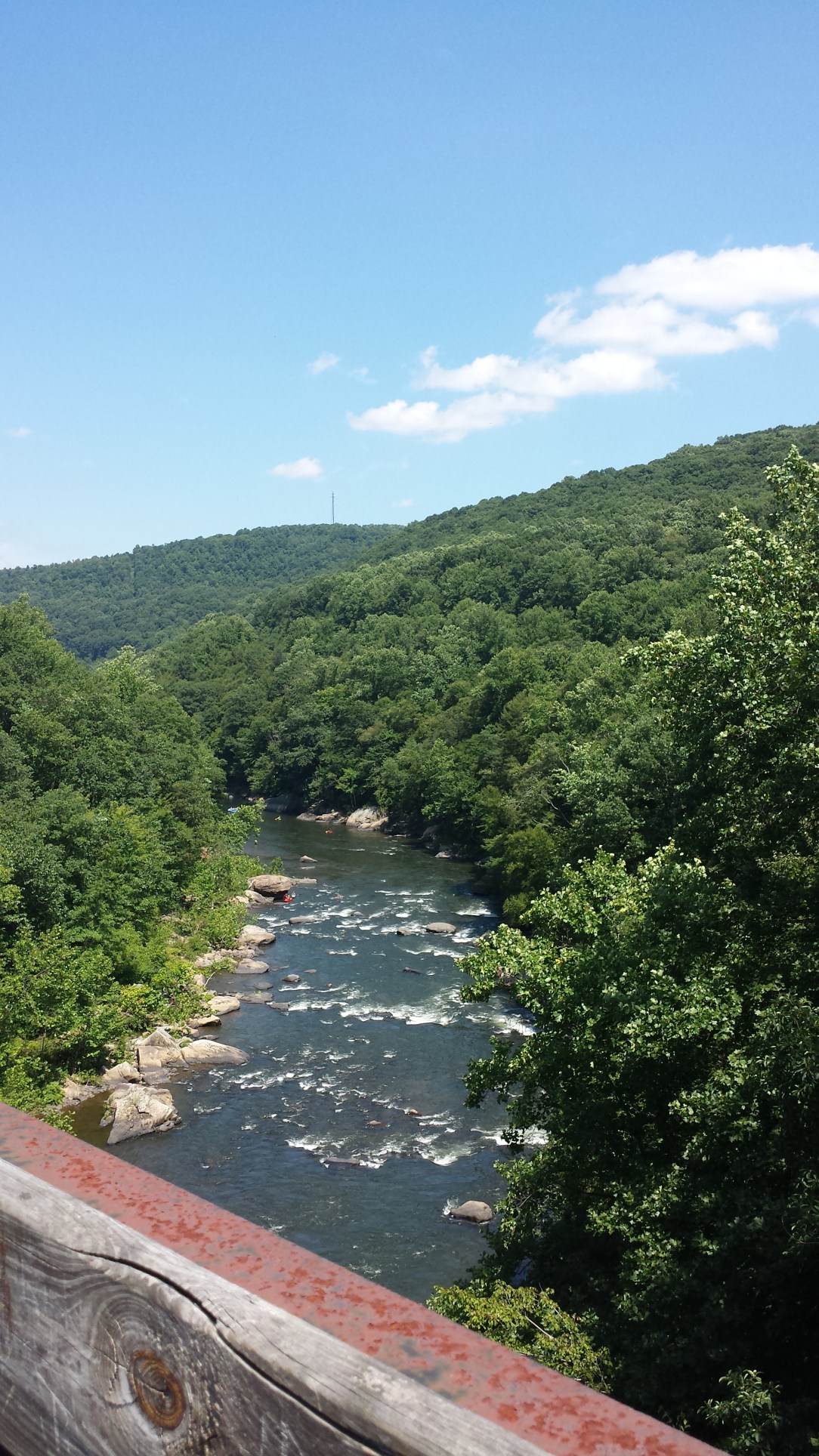 An aerial view of a portion of Ohiopyle State Park. 