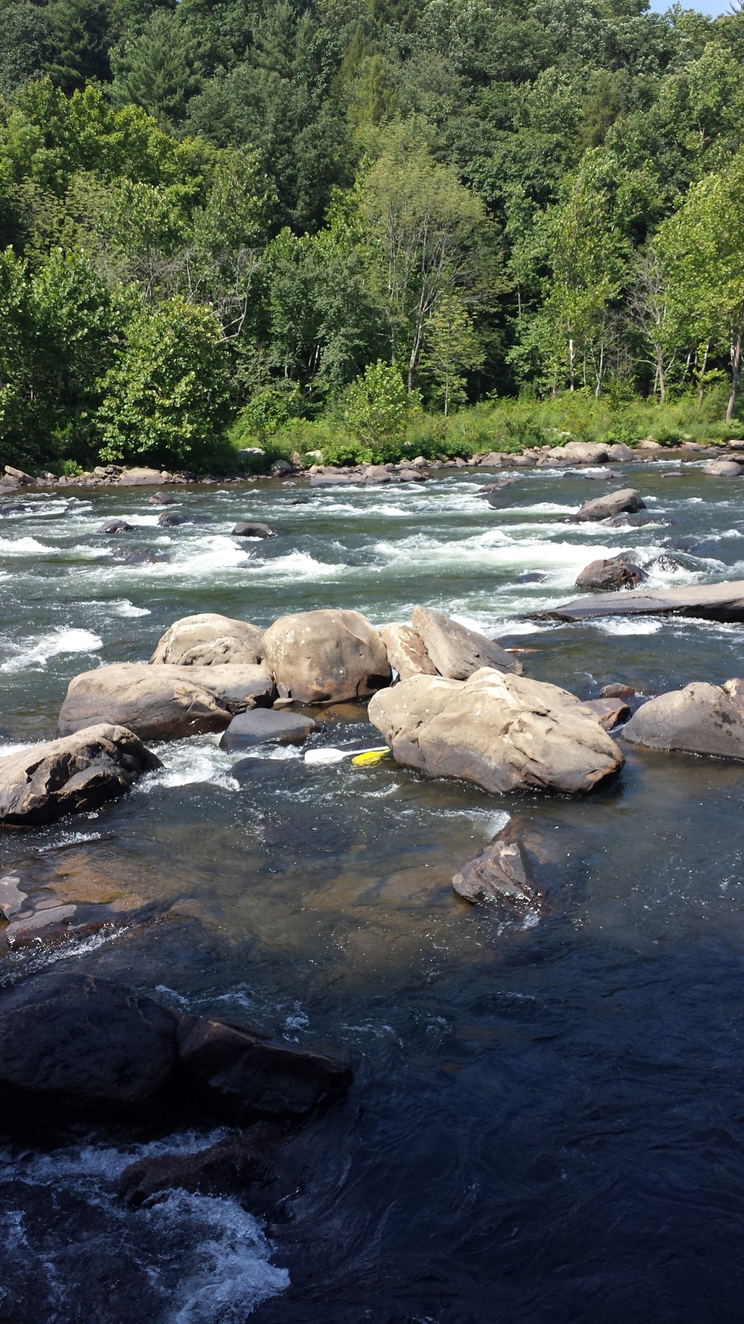 Someone lost some oars. 