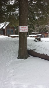 I don't think this was really necessary.