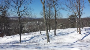A view into New Jersey.