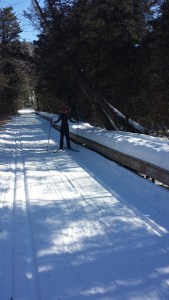 Skiing through the swamp-notice the raised walkway to my sister's right-where we were skiing would normally be wetlands. She actually has an irrational fear or swamps, so this was a big moment for her.