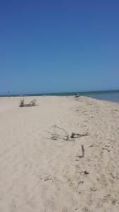 Wasque Beach on Chappaquiddick
