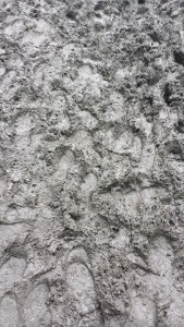 Literally feet deep mud.