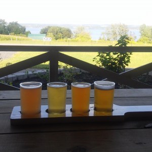 Finger Lake's Flight