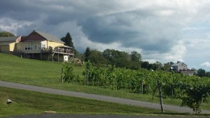 Finger Lake wineries. 