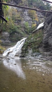 Ithaca is "gorges." Prepare to see that on a lot of tee shirts. 