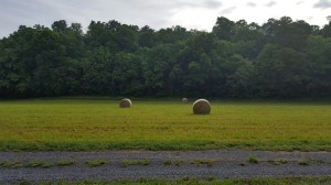 A very peaceful wake up Sunday morning. 