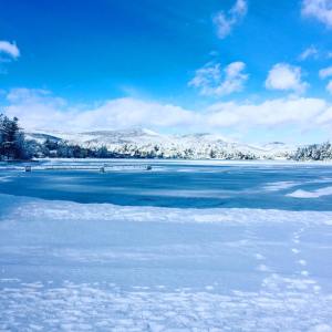 16864089_10102012837838948_300856344095677435_n