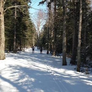 16864410_10100662380072128_3898241463663665721_n